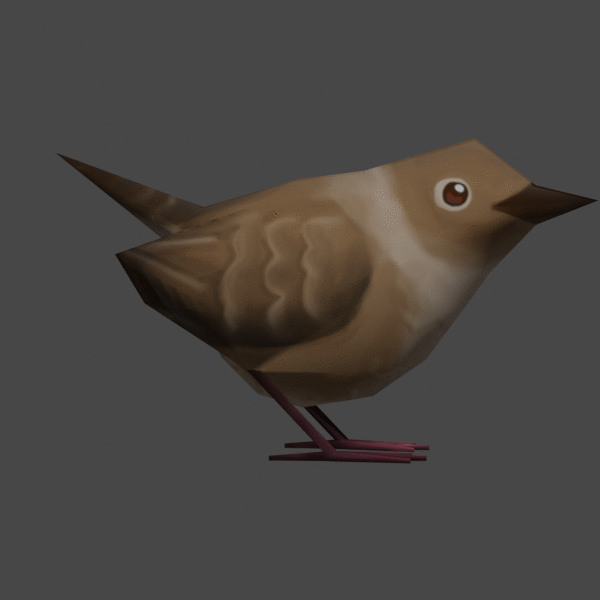 Spinny Wren